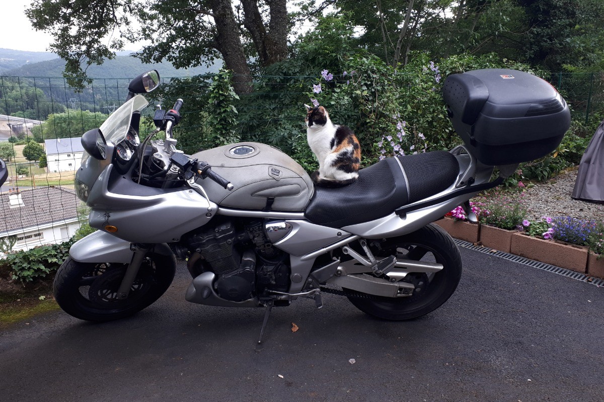 accueil motard