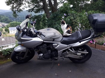 accueil motard