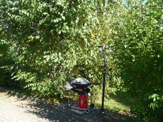 Photo n° 6 de la location