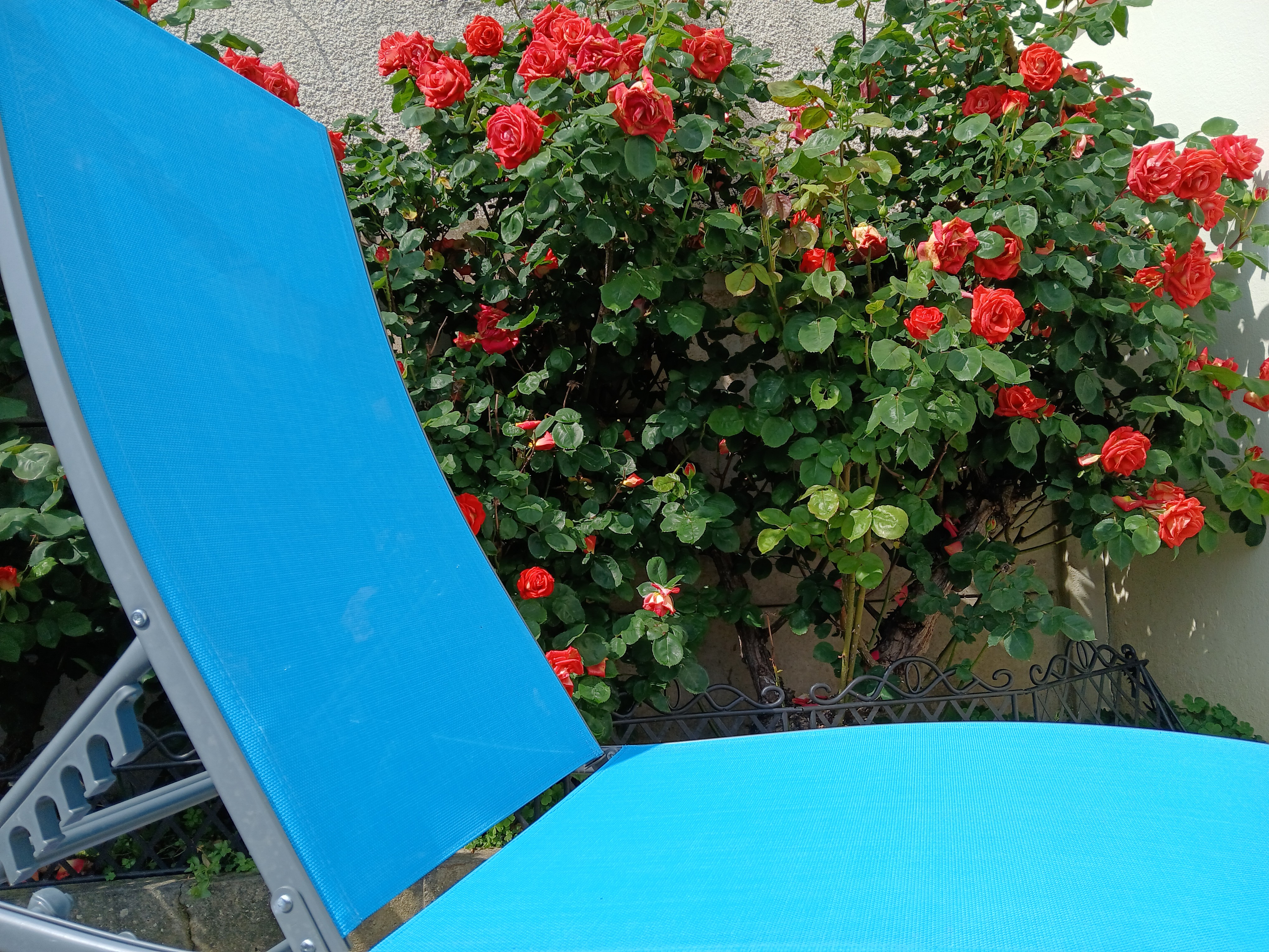 Photo n° 13 of the location