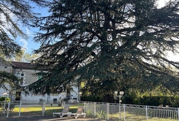 Séjour en maison d’hôtes à Laroque – Détente et authenticité en Hérault