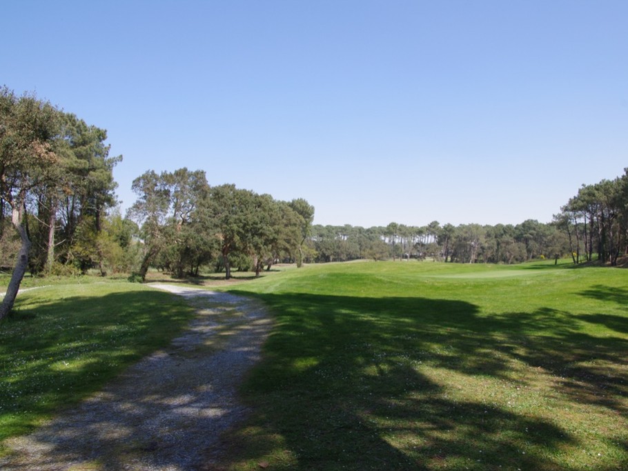 Une vue du golf