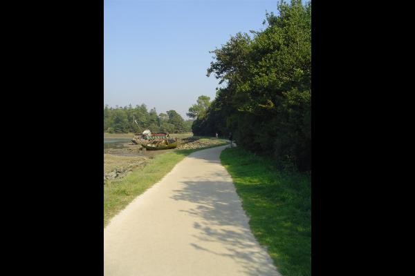 Promenade à pied à proximité de la location
