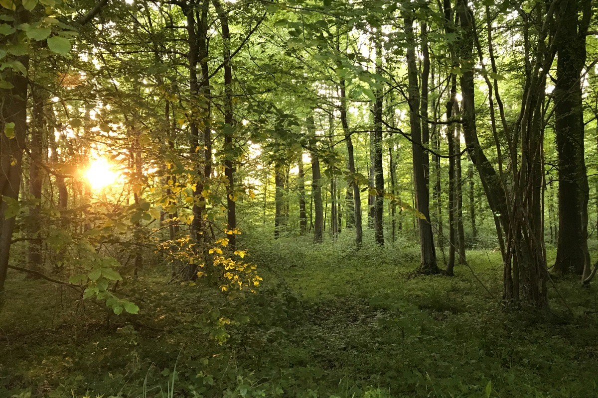 Photo n° 19 of the location