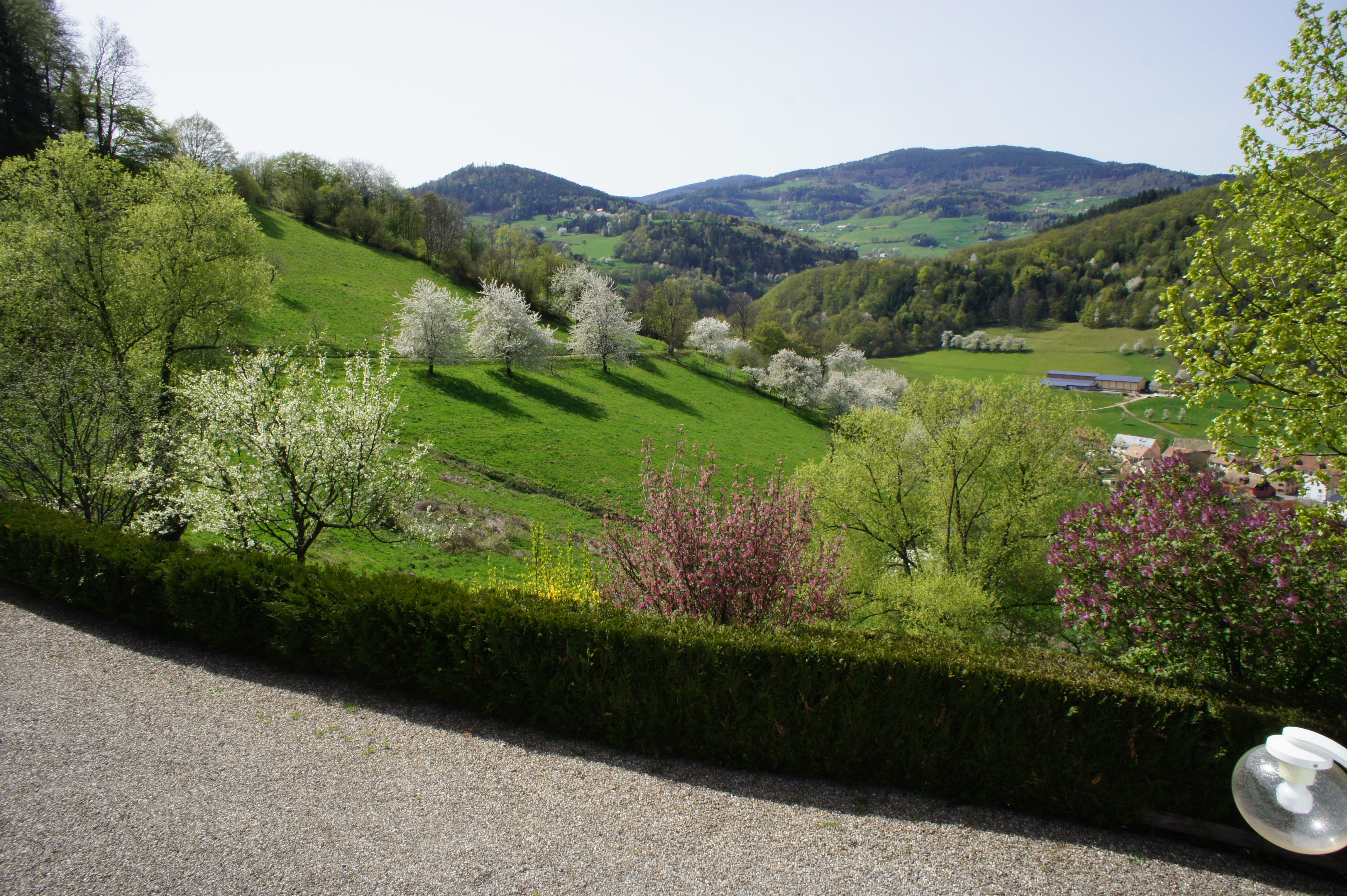 Photo n° 9 de la location