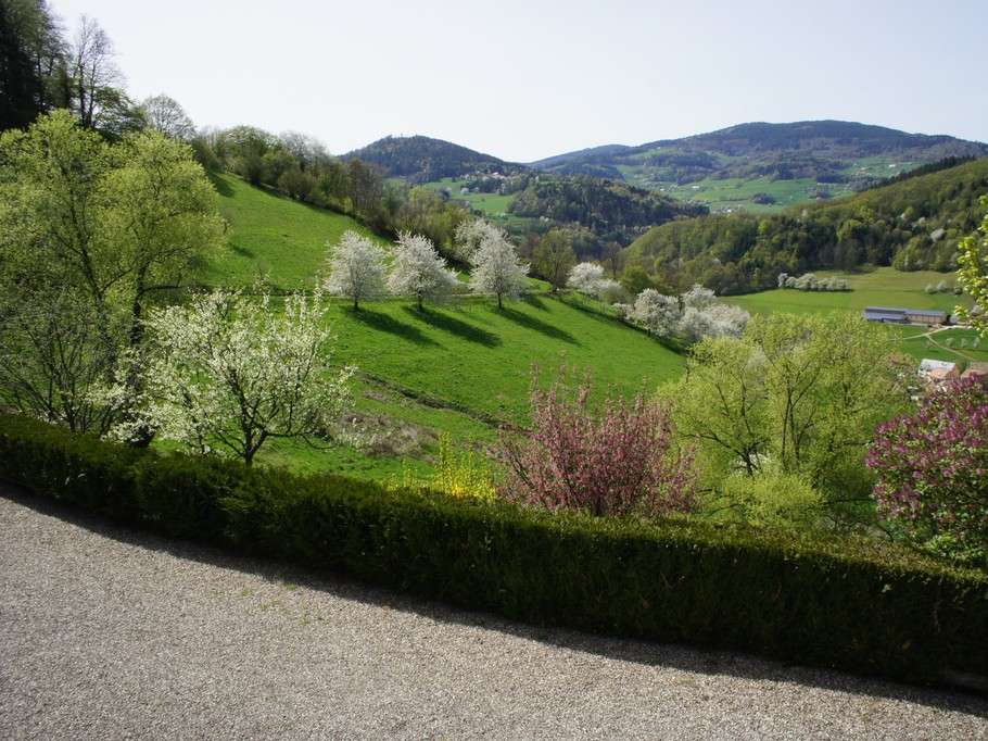 Photo n° 9 de la location