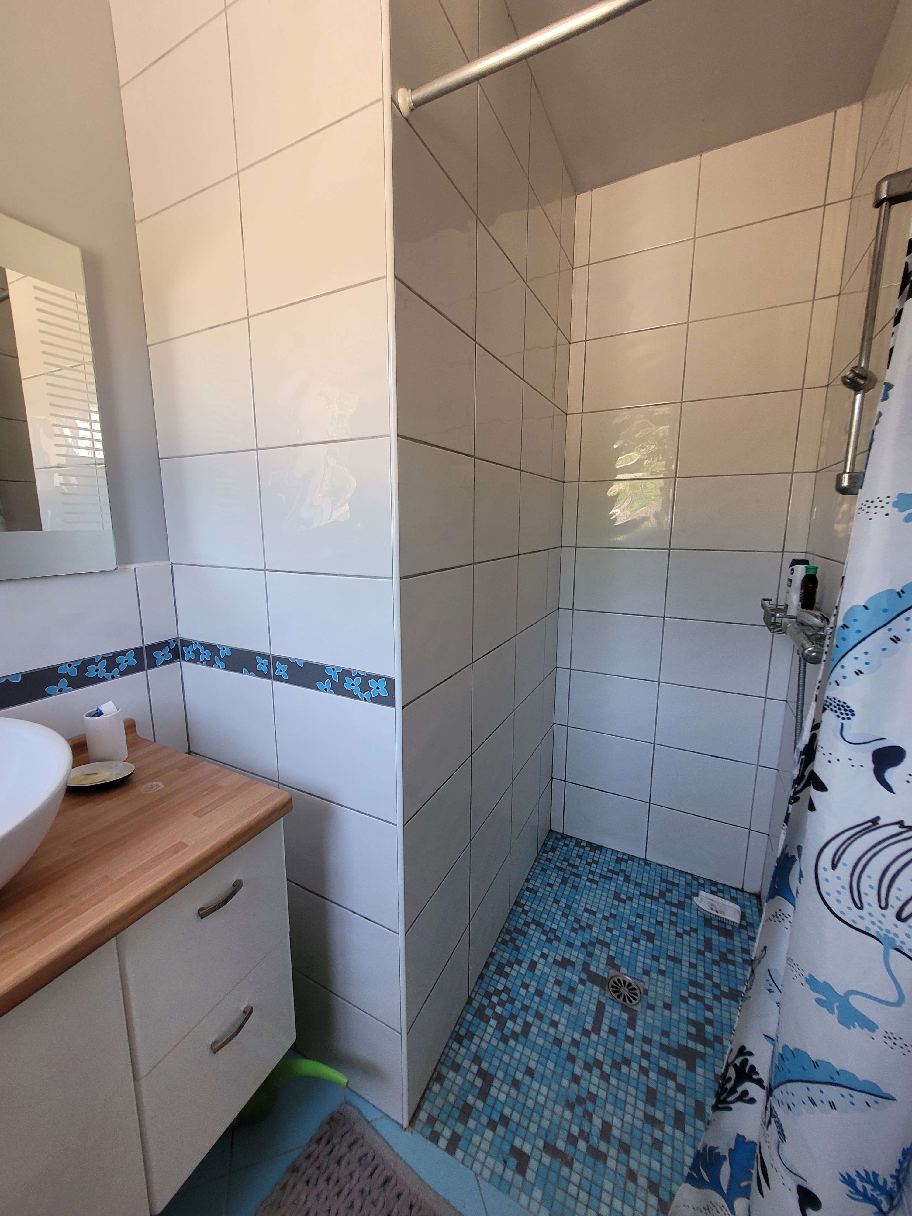 Salle d'eau de la chambre du rez de chaussée