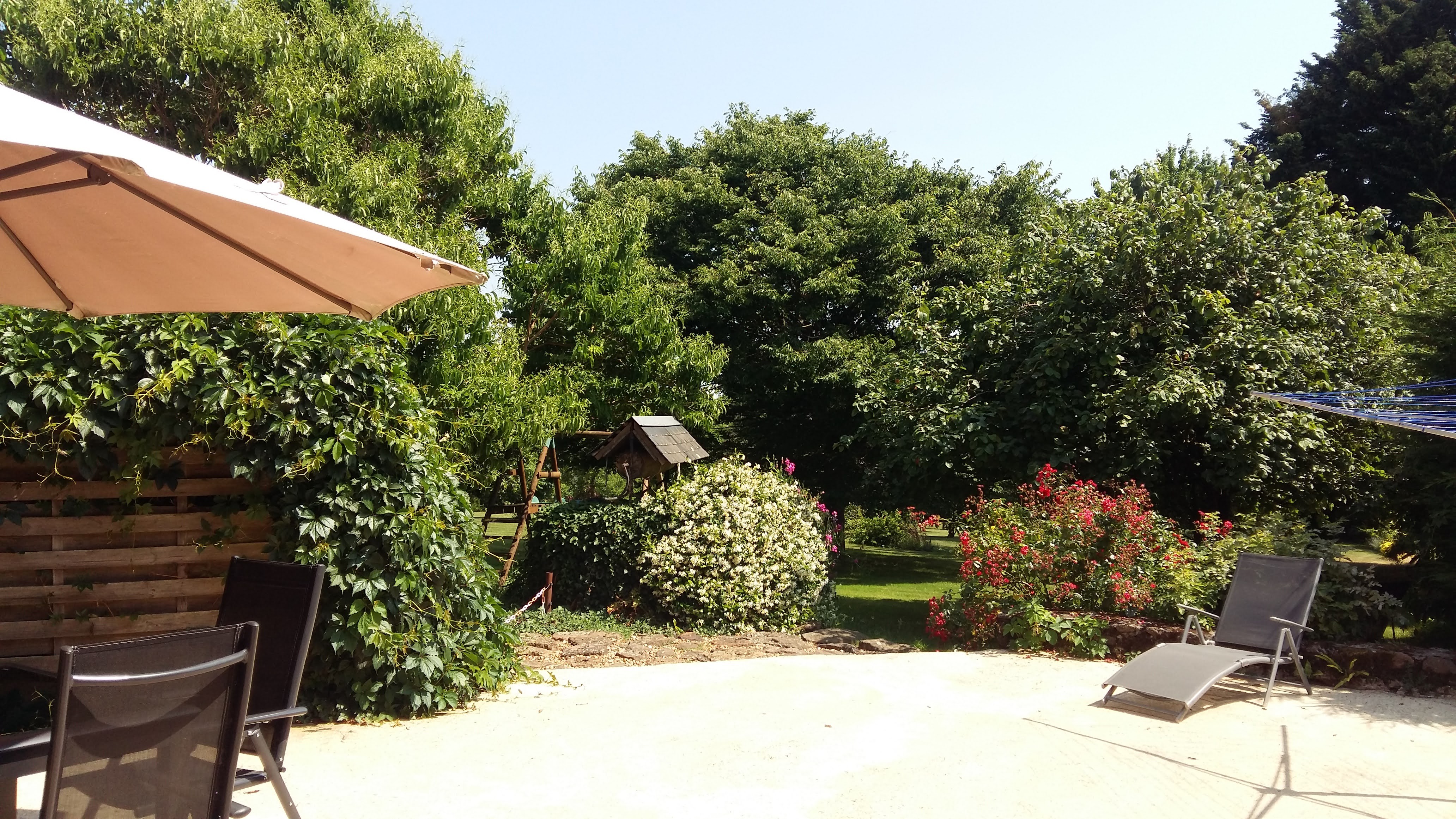 view from the terrace