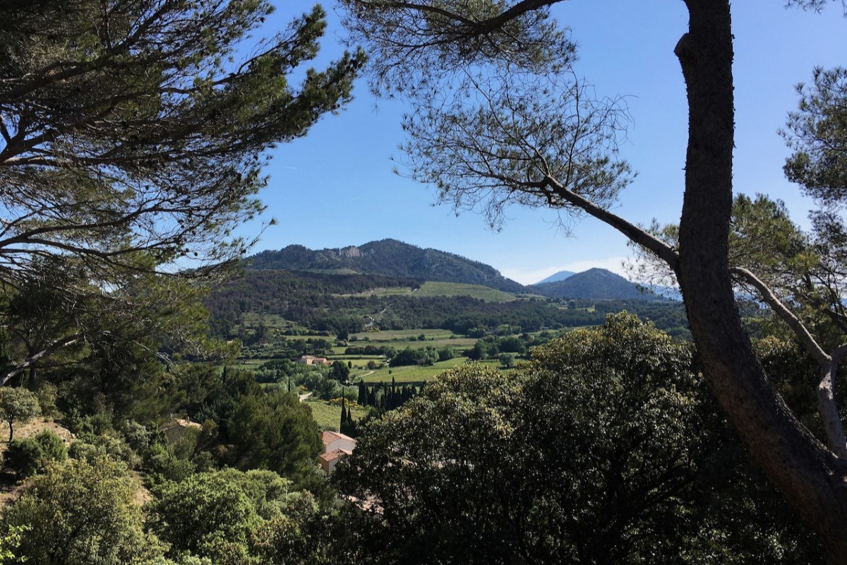 Vue Est depuis la terrasse