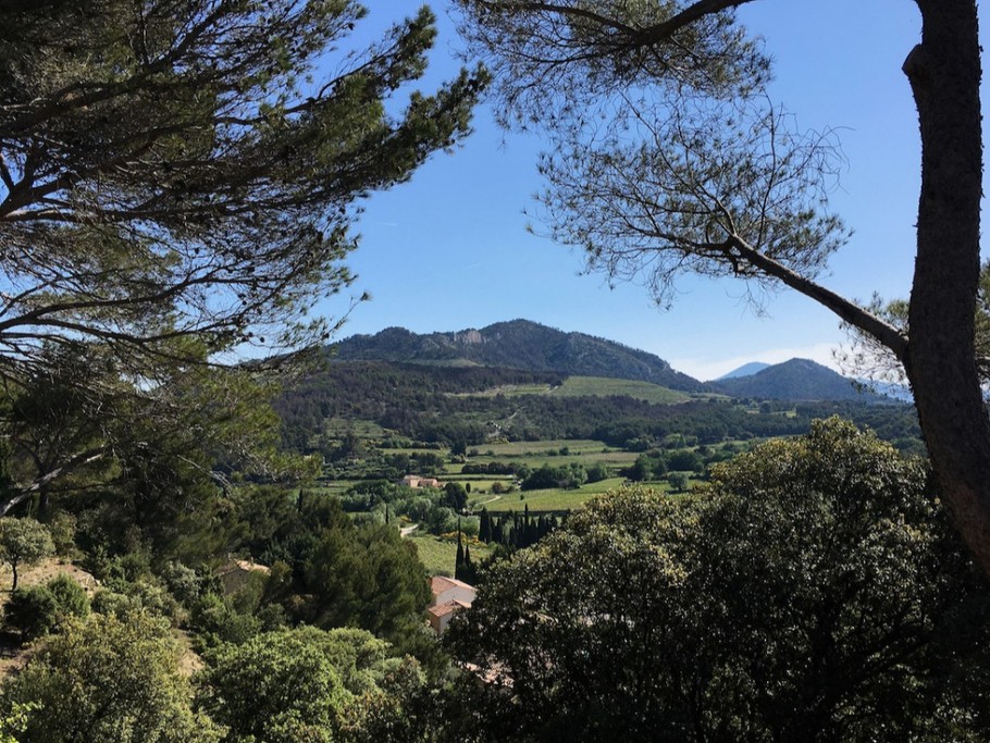 View east from the terrace