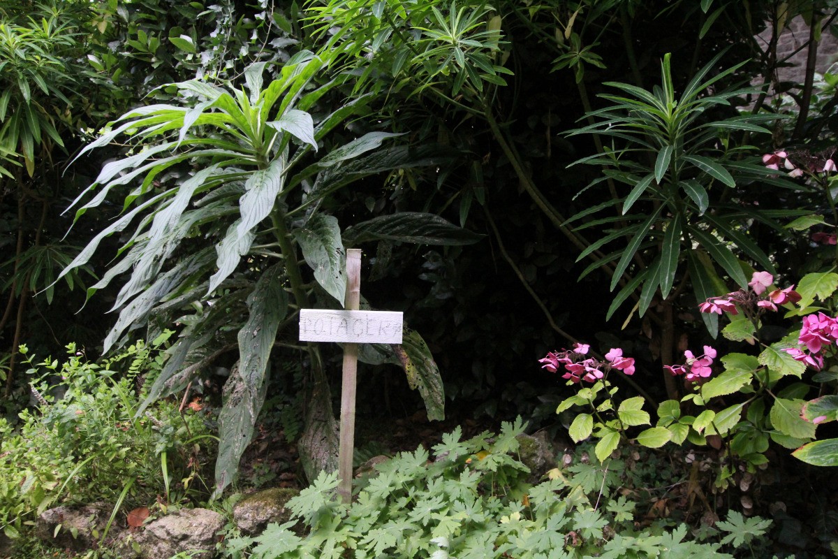 Photo n° 11 of the location