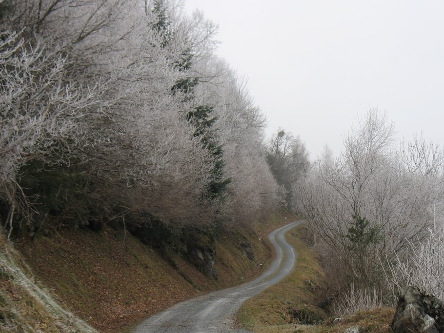 promenade hivernale