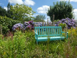 Espace fleuri devant le gîte