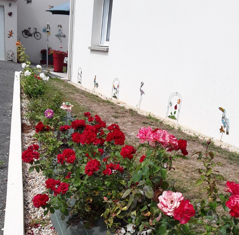 allée rosiers
