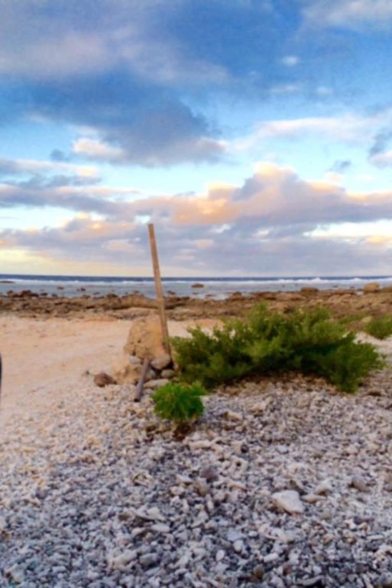 Photo n° 10 de la location