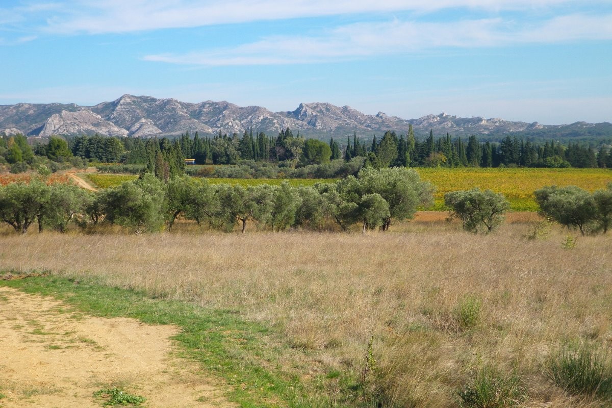 Les Alpilles