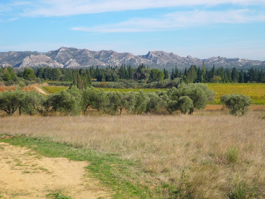 Les Alpilles