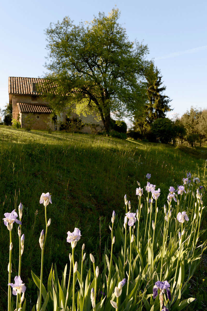 Photo n° 13 de la location