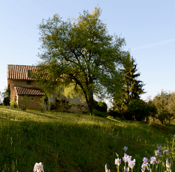 Photo n° 13 de la location