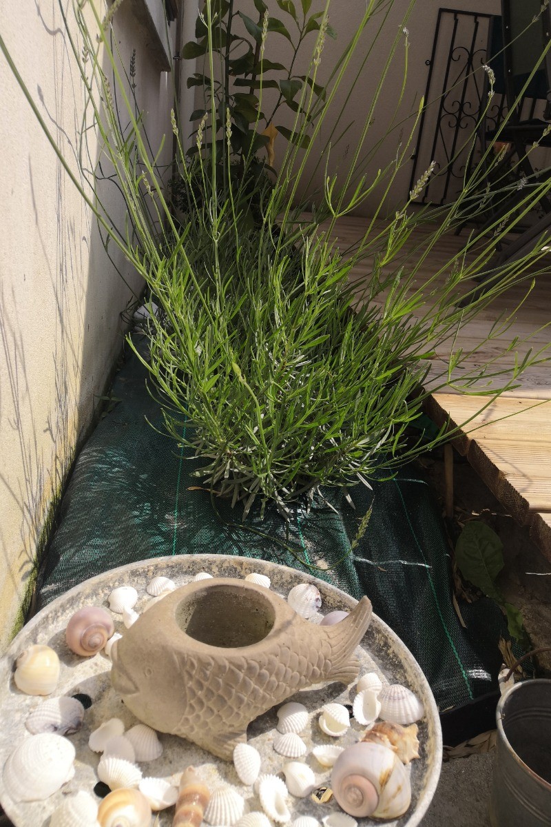 location 6 personnes, Clévacances, Saint-Cast le Guildo, retour de plage, patio