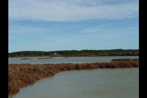 zone nature protege salines