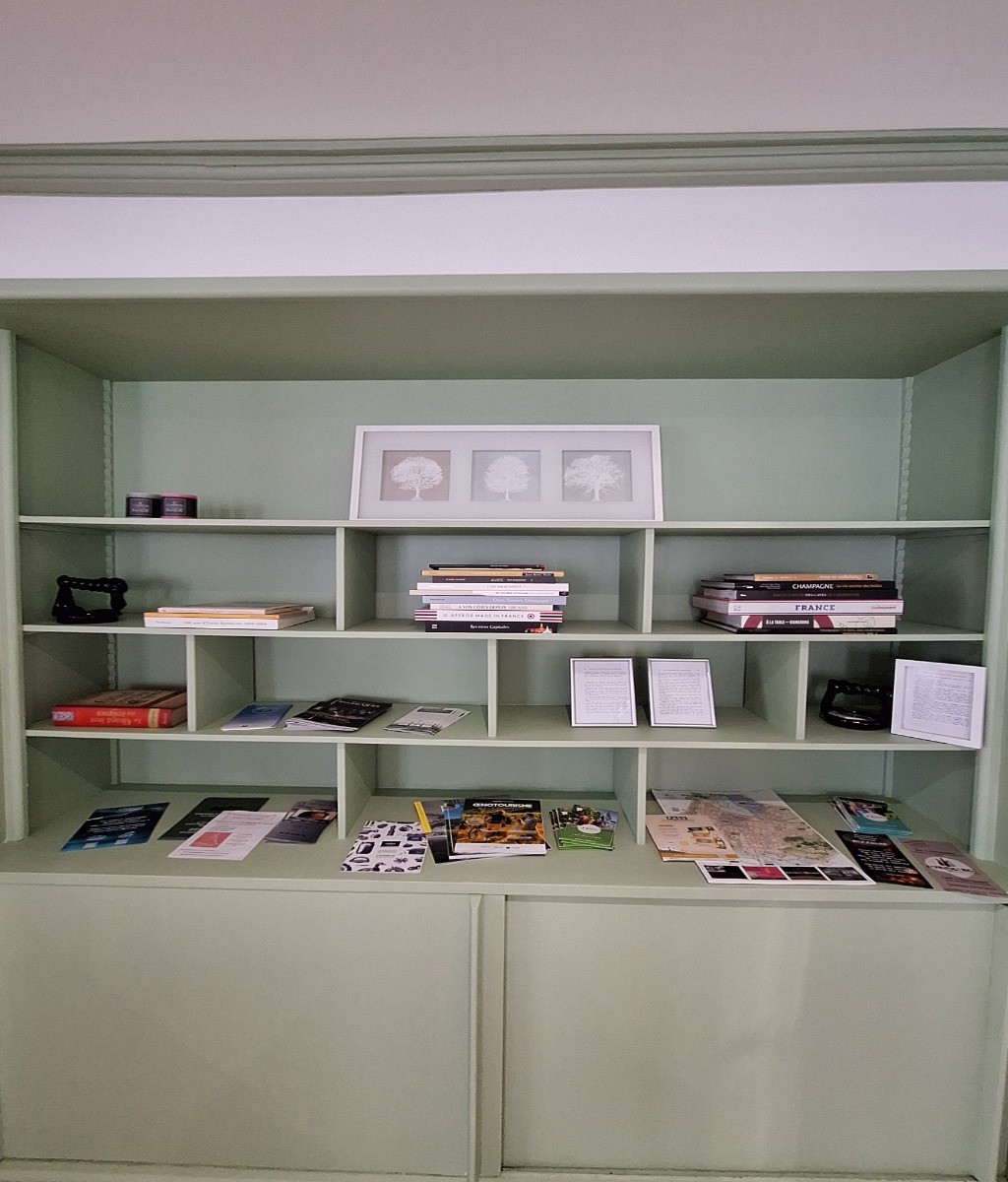 bibliothèque dans le salon