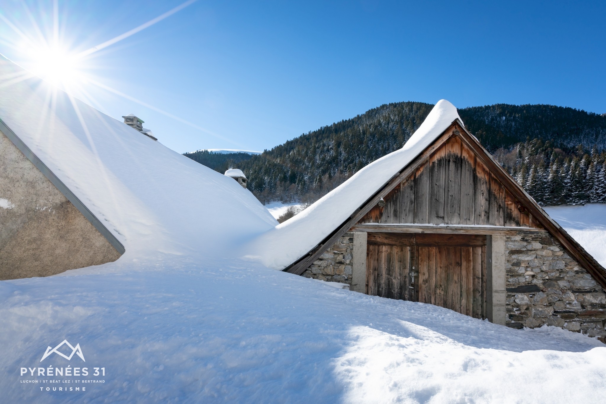 Sa Majesté La Neige