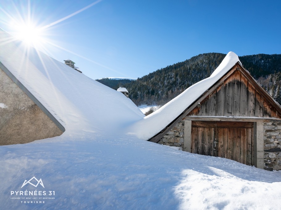 Sa Majesté La Neige