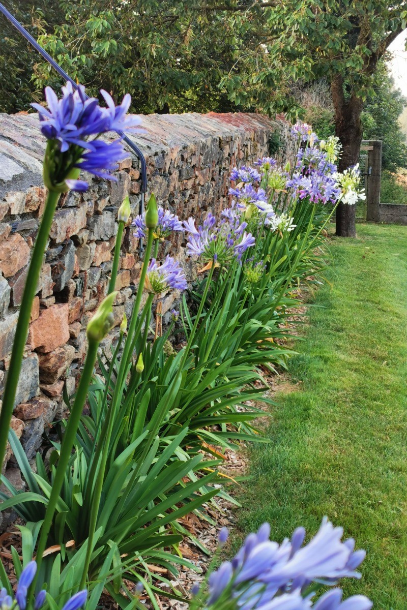 Photo n° 14 of the location