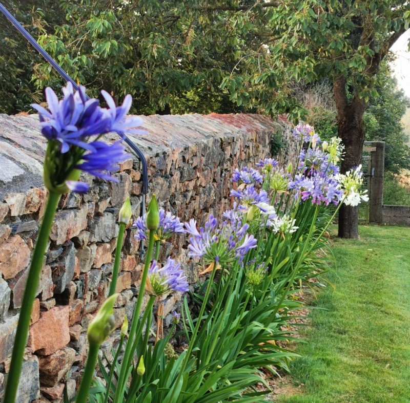 Photo n° 14 of the location