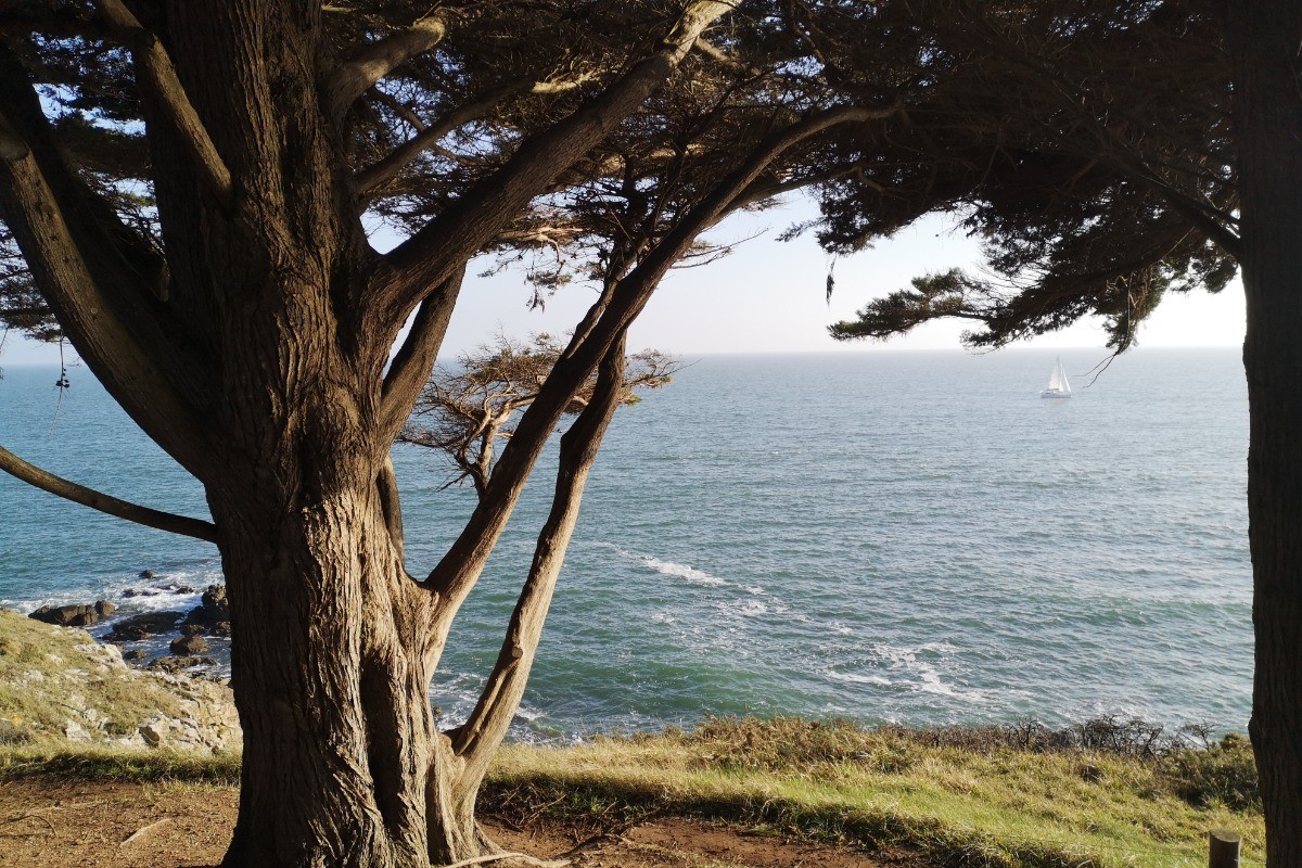 Photo n° 16 de la location