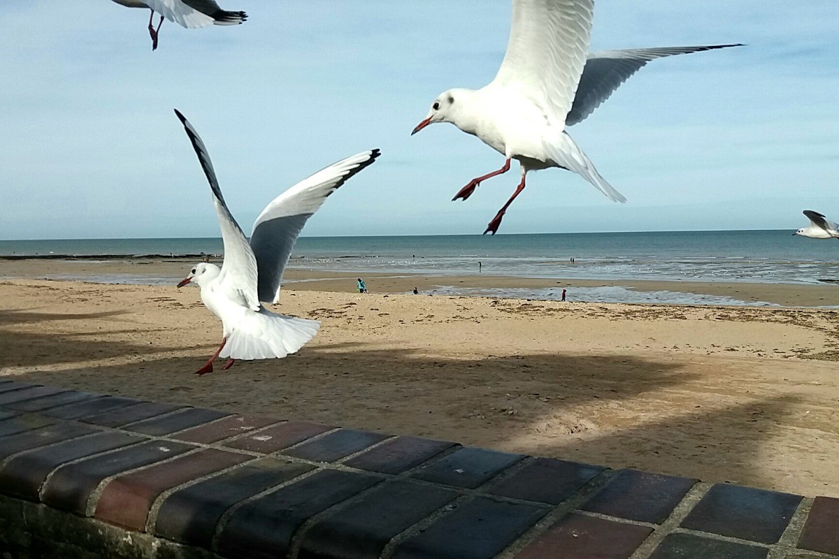 Digue de St Aubin sur mer