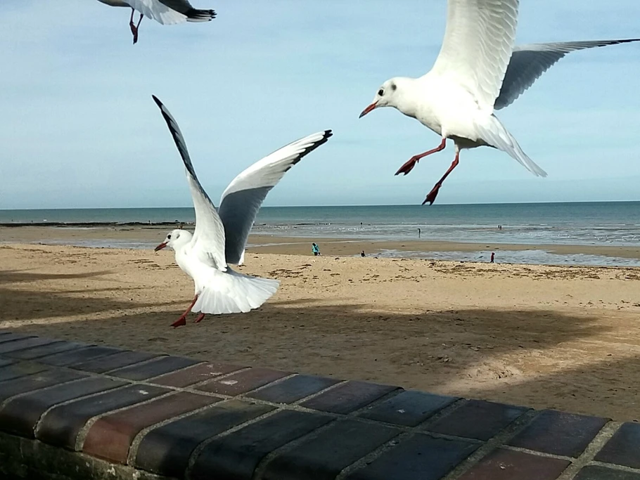 Digue de St Aubin sur mer