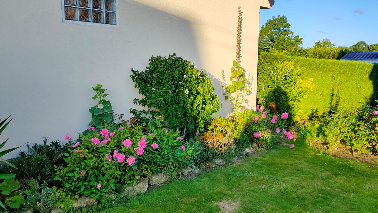 fleurs devant maison