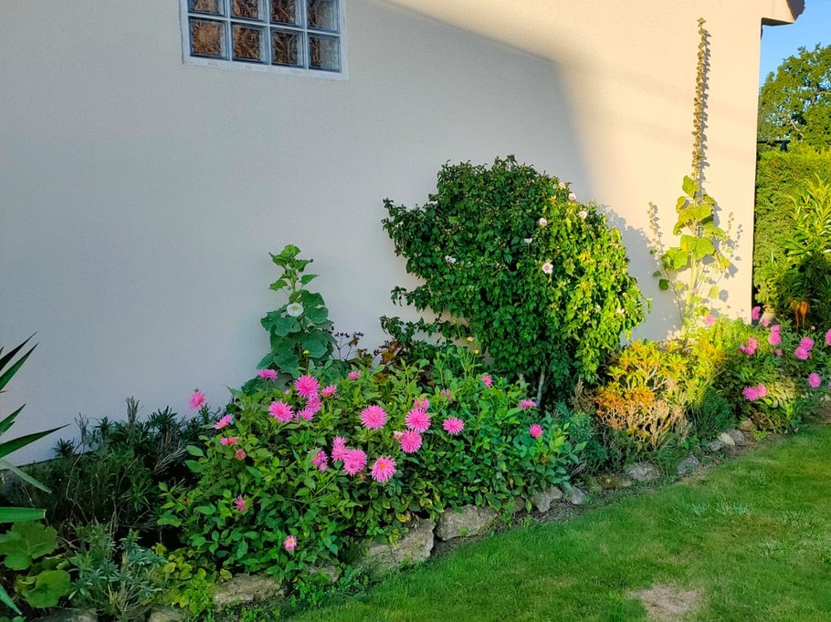 fleurs devant maison