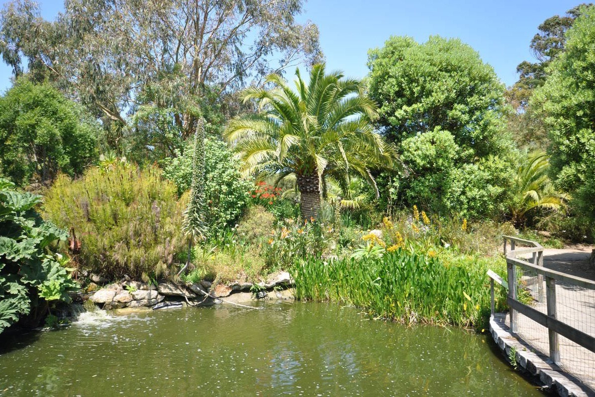 Jardin exotique de Roscoff
