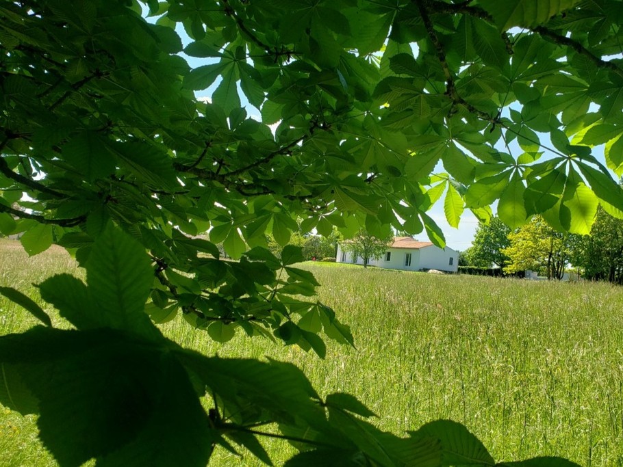 Gite 12 personnes Le Bois Dormant à St Jean d'Angély en Charente maritime