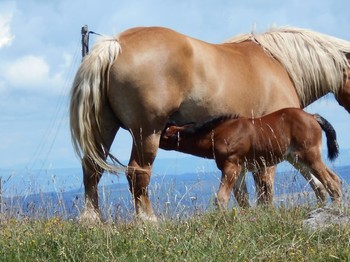 Photo n° 14 of the location