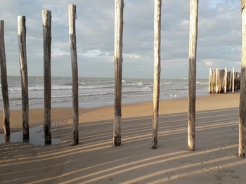 La plage des Escardines