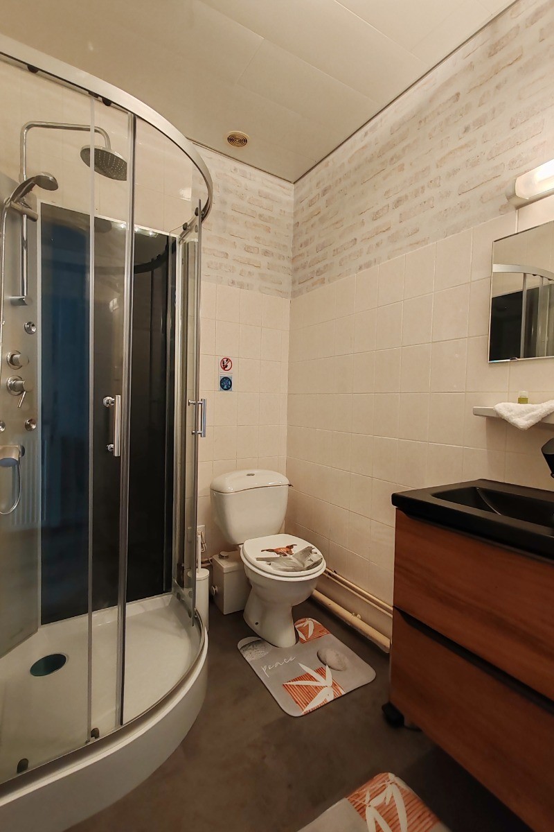 Salle d'eau avec wc - Appartement Domaine du Bouleau Bains-les-Bains
