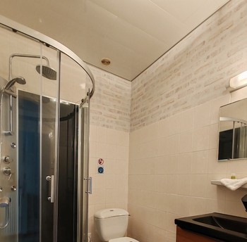 Salle d'eau avec wc - Appartement Domaine du Bouleau Bains-les-Bains