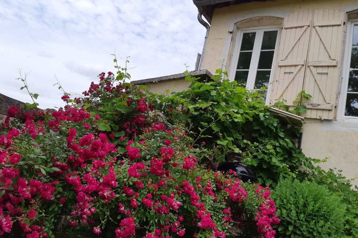Photo n° 9 de la location