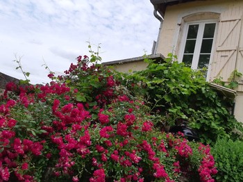 Photo n° 9 of the location