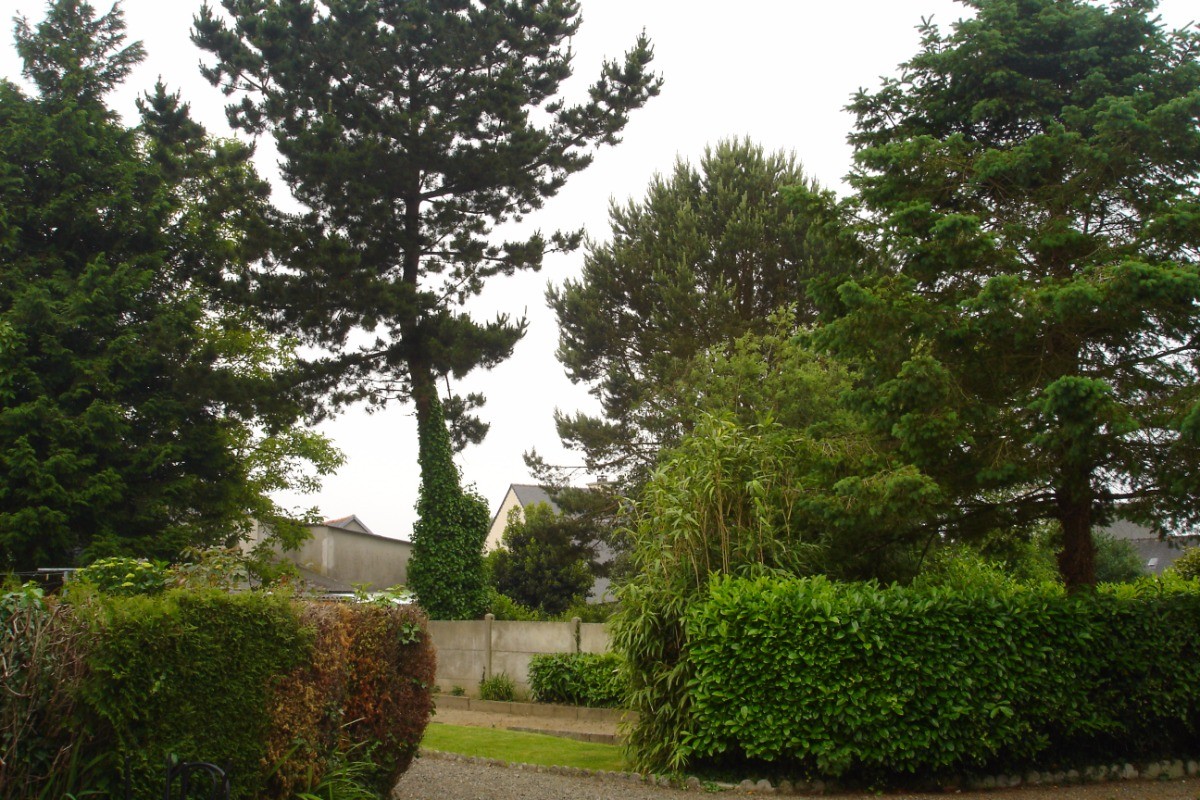 Photo n° 14 de la location