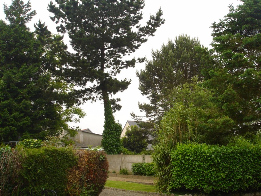 Photo n° 14 de la location