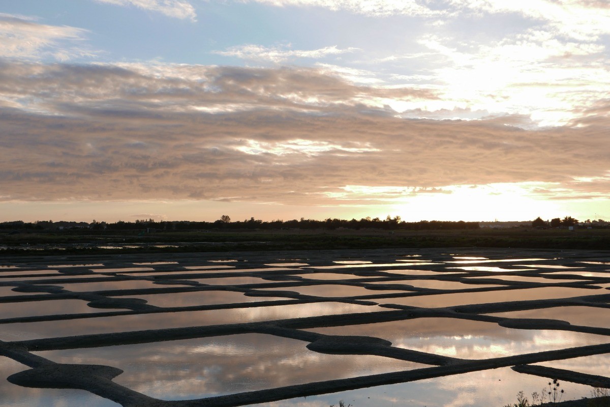 Marais Salants