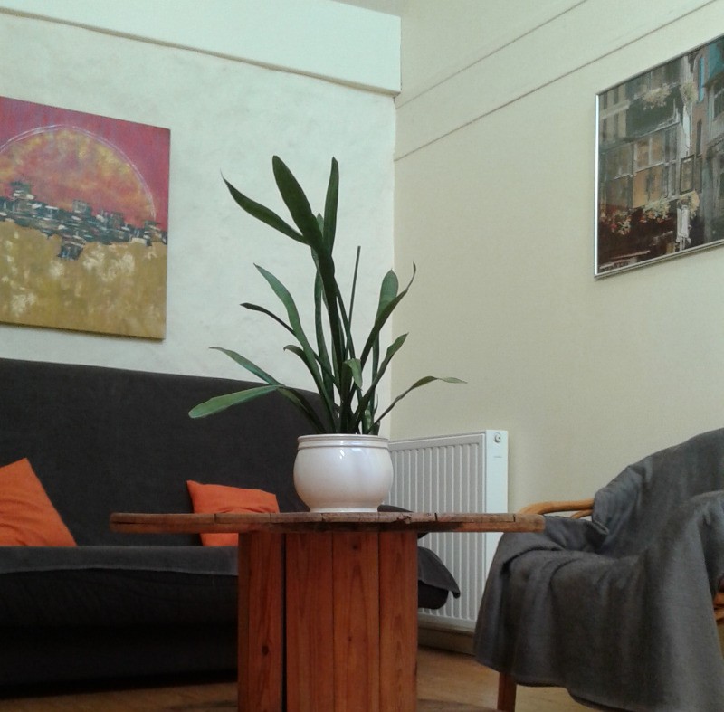 Photo n° 12 of the location