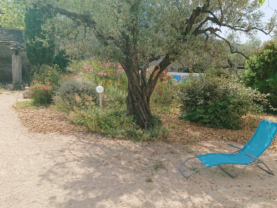 Domaine du Chêne Vert - Gîte L'Olivier - Jardinet