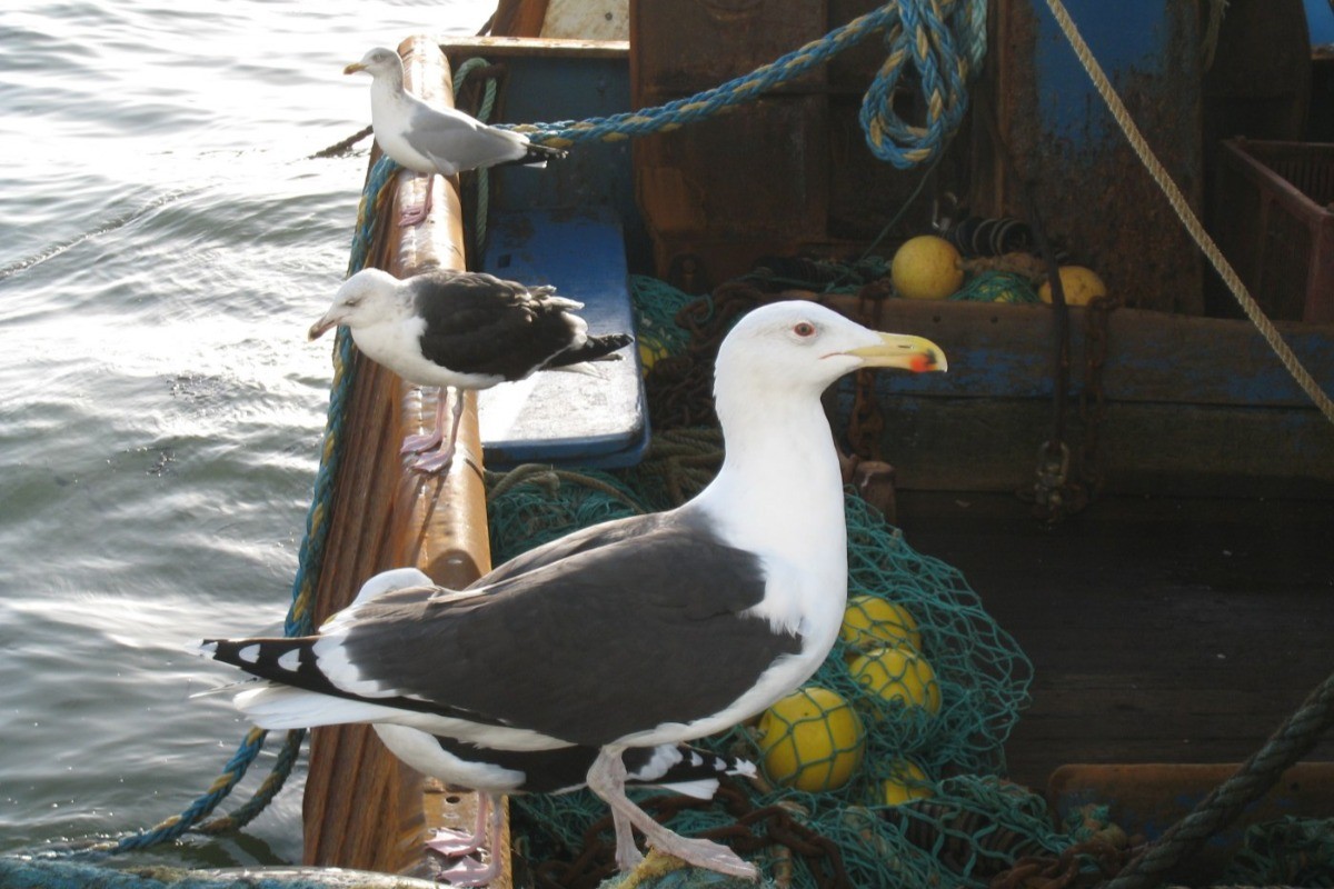 Photo n° 16 de la location