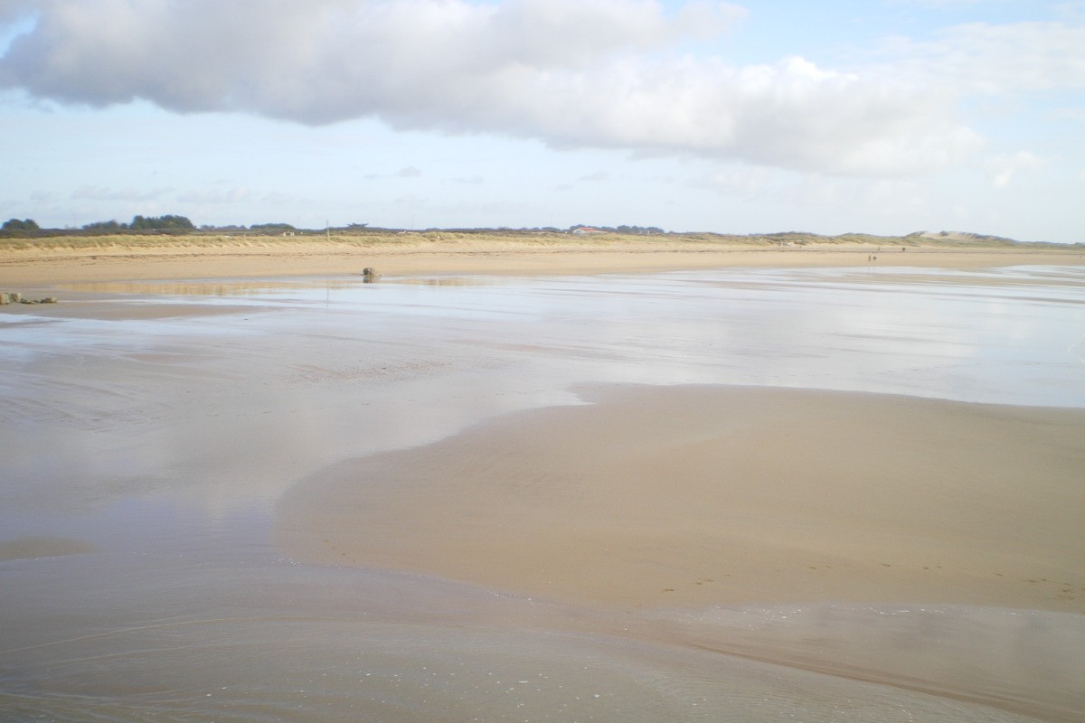 Photo n° 8 de la location